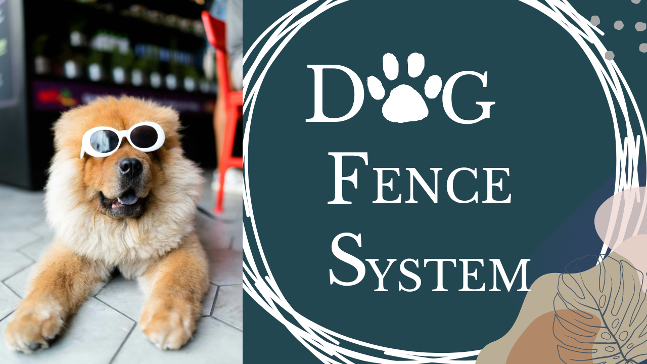 Best GPS Dog Fence Systems Available