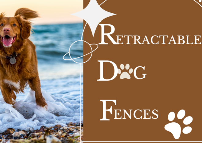 Retractable Dog Fences: Reviews and Buying Guide