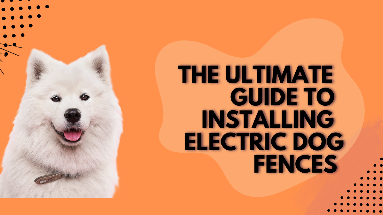 The Ultimate Guide to Installing Electric Dog Fences : Wireless, In-Ground, GPS, and Indoor Options.