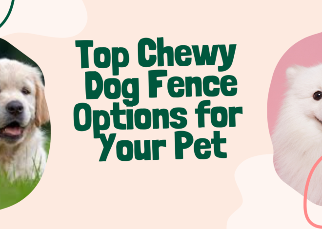 Top Chewy Dog Fence Options for Your Pet