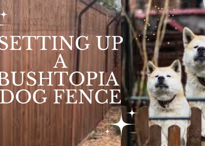 Setting Up a Bushtopia Dog Fence: Tips and Tricks